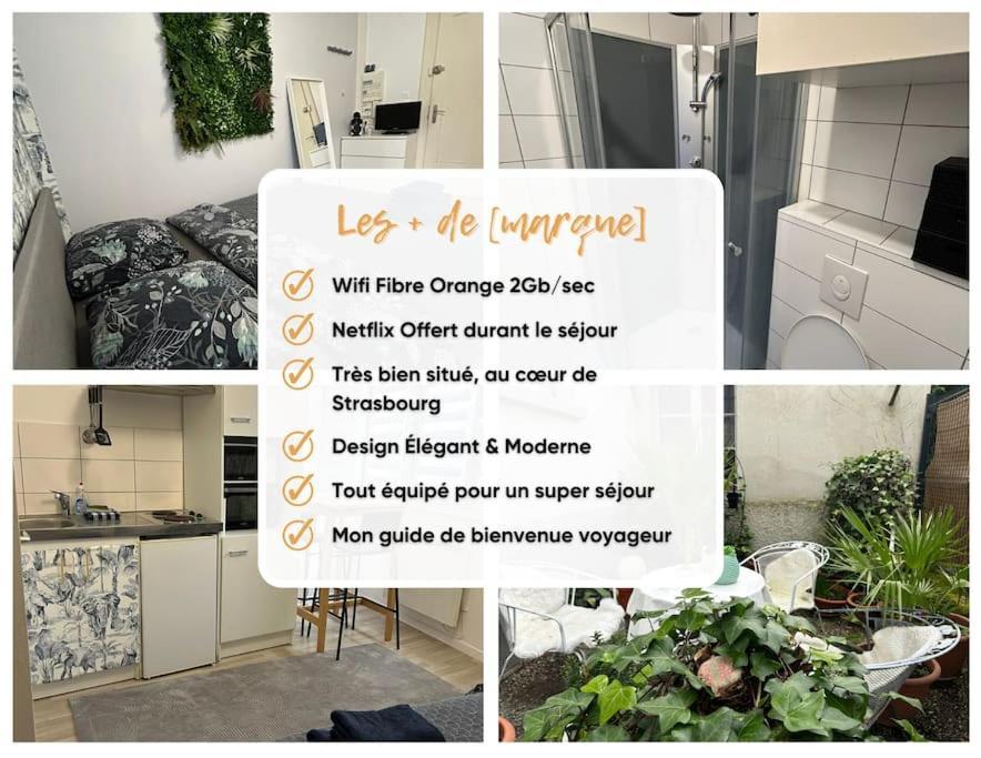 Studio Proche Du Centre-Ville Strasbourg Bagian luar foto